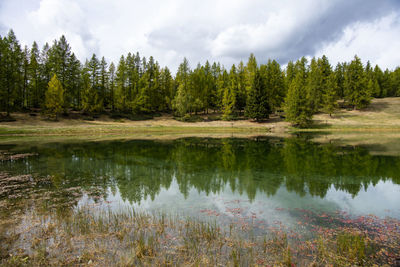 Lake lod in the mountain town of chamois aosta valley italy