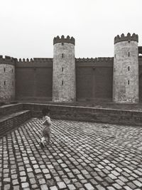 Rear view of woman on old building against sky