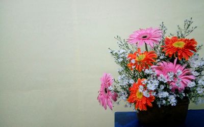 Close-up of pink flowers blooming against sky