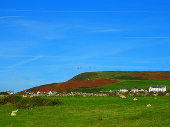 Scenic view of landscape against blue sky