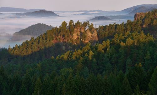 High angle view of landscape