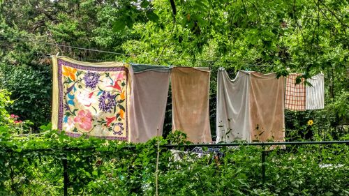 Clothes drying on clothesline