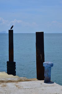 Bird perching on wooden post by sea against sky