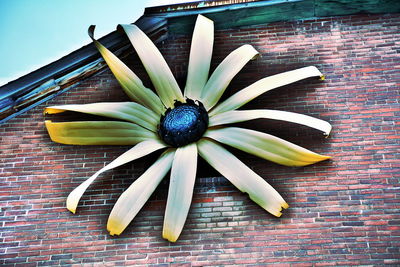 High angle view of pineapple on table