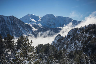 Snowshoe hike outing in chamrousse on a beautiful winter day