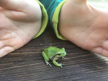 Low section of man with a frog