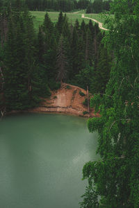 Scenic view of lake amidst trees in forest