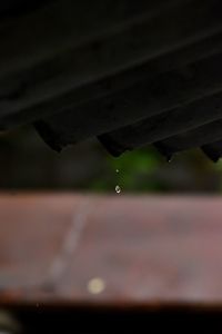 Close-up of rain drops on roof