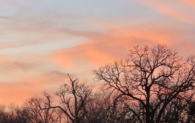 Low angle view of bare trees against sky at sunset