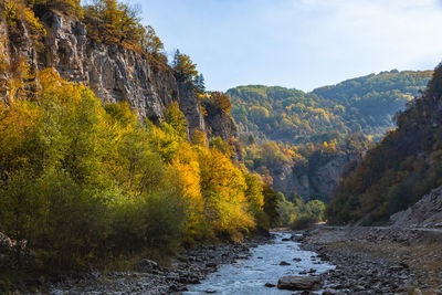 Autumn in the mountains and a mountain river in the gorge