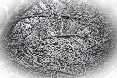 Full frame shot of carving on wall