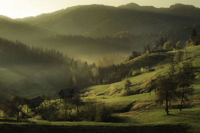 Scenic view of landscape against sky