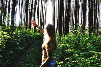 Rear view of woman photographing in forest