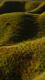 Mid distance of woman walking on hill