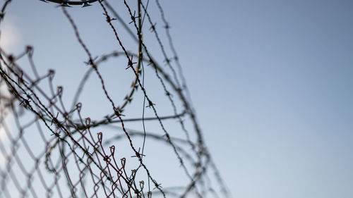 Barbed wire against cloudy blue sky.