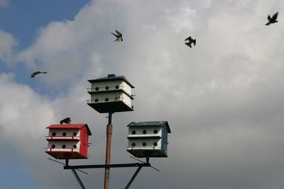 Low angle view of seagull flying in sky