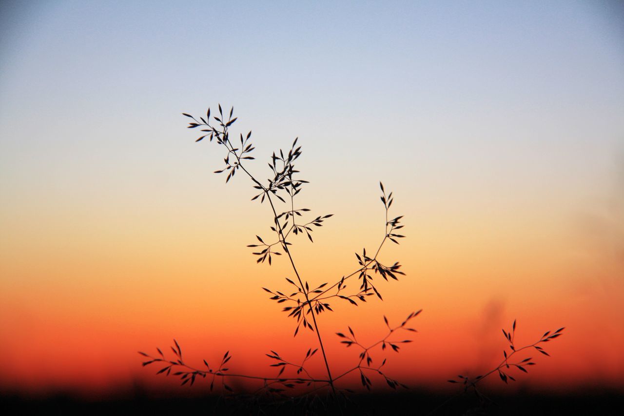 Arina Nagaitseva 🇷🇺