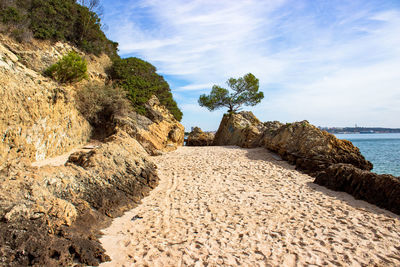 Rocks on beach against sky