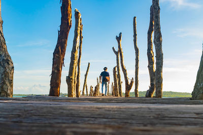 Surface level shot of man walking on pier by wooden posts against sky