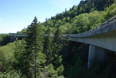 View of dam and bridge in forest