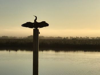 Silhouette bird perching on wooden post by lake against sky during sunset