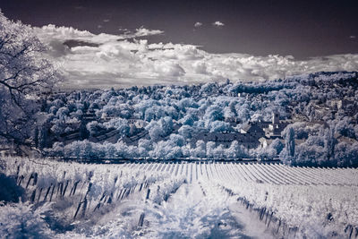 Panoramic view of landscape against sky during winter