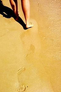 Low section of woman standing on beach