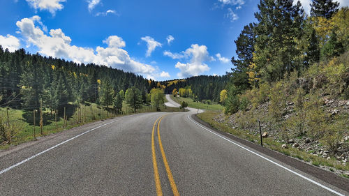 Empty road along trees and plants against sky