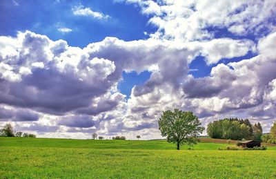 Scenic view of field against sky