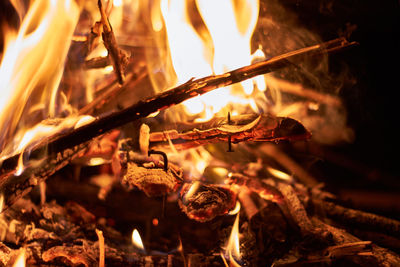 Close-up of campfire on field