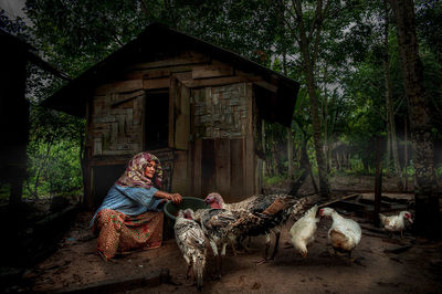 Woman feeding birds while sitting at farm