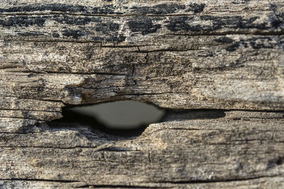 Full frame shot of wood