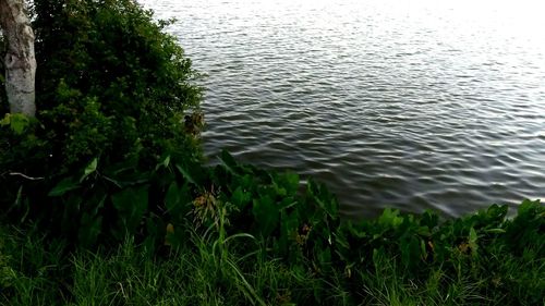 High angle view of rippled water in lake