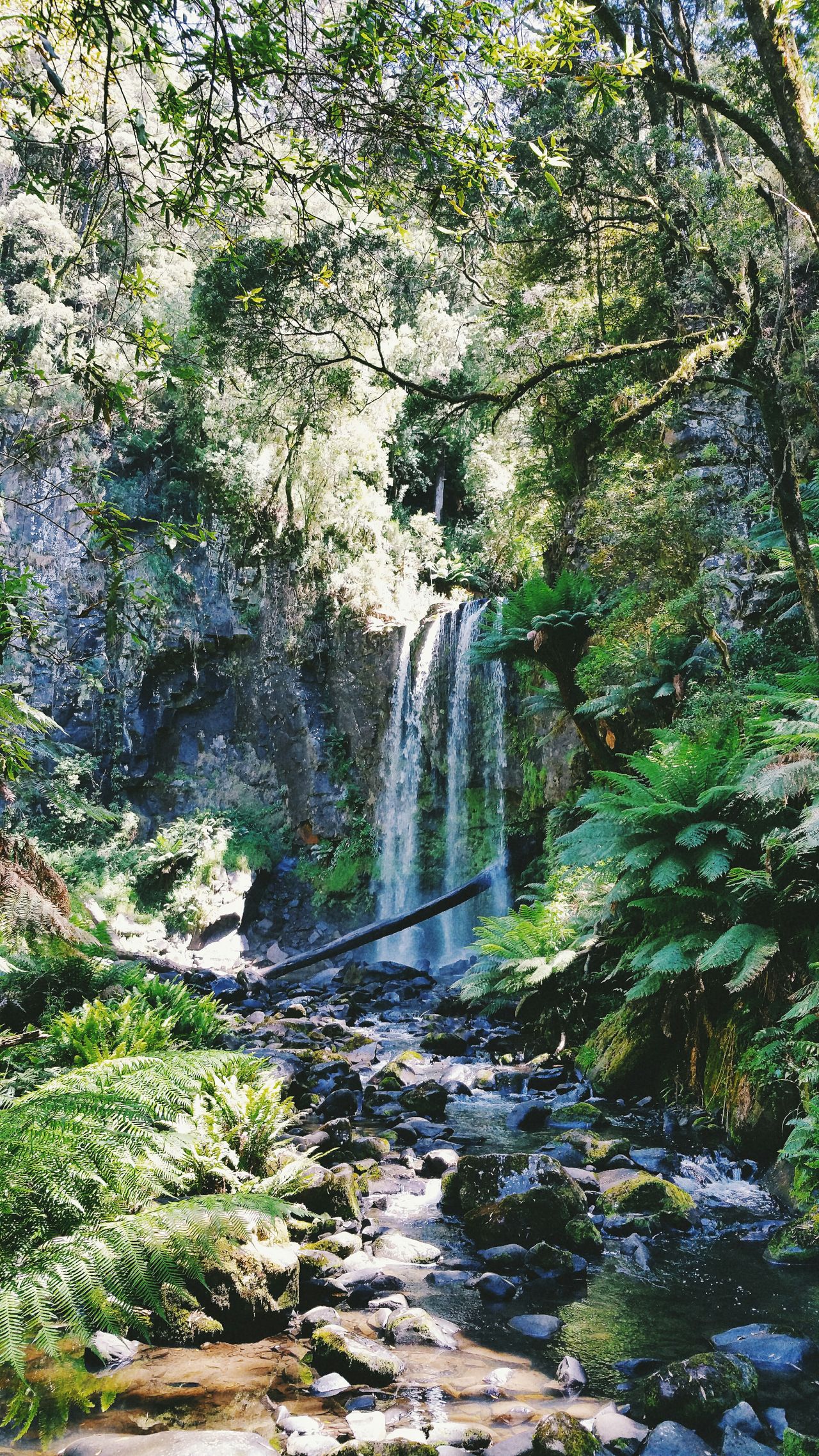 Great Otway National Park