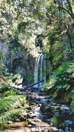 Scenic view of waterfall