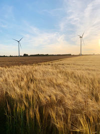 renewable energy
