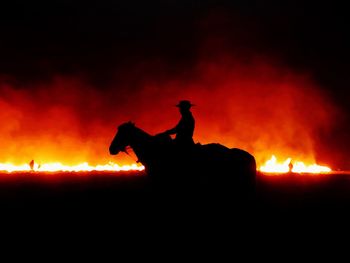 Silhouette horse against sky at night