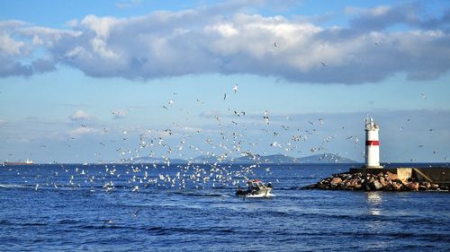 Birds flying over sea against sky