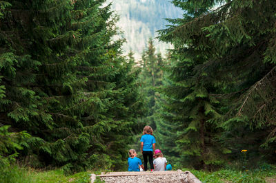 Rear view of children sitting in forest