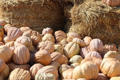 Full frame shot of pumpkins