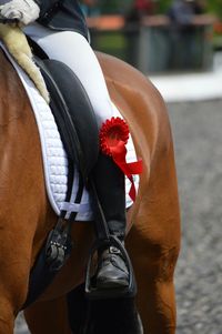 Close-up of man with horse