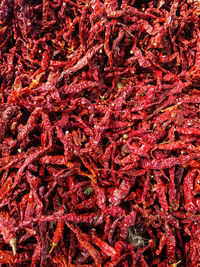 Full frame shot of red chili peppers
