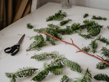 High angle view of twigs on table