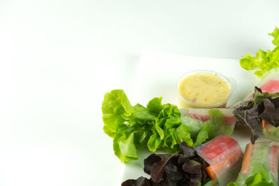 Close-up of food against white background