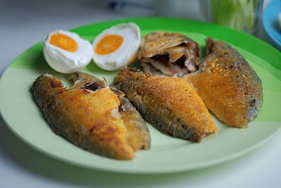 Close-up of meal served in plate