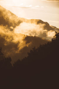 Low angle view of silhouette trees against sky during sunset