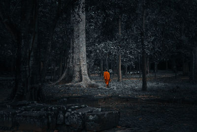 Rear view of person standing by trees in forest