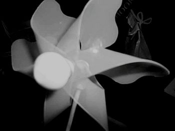 Close-up of over black background