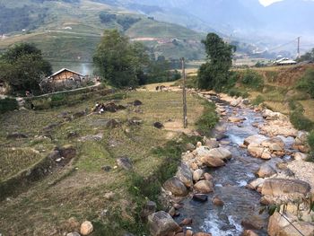 Scenic view of trees and houses on mountain