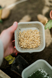 Cropped hand of woman holding food